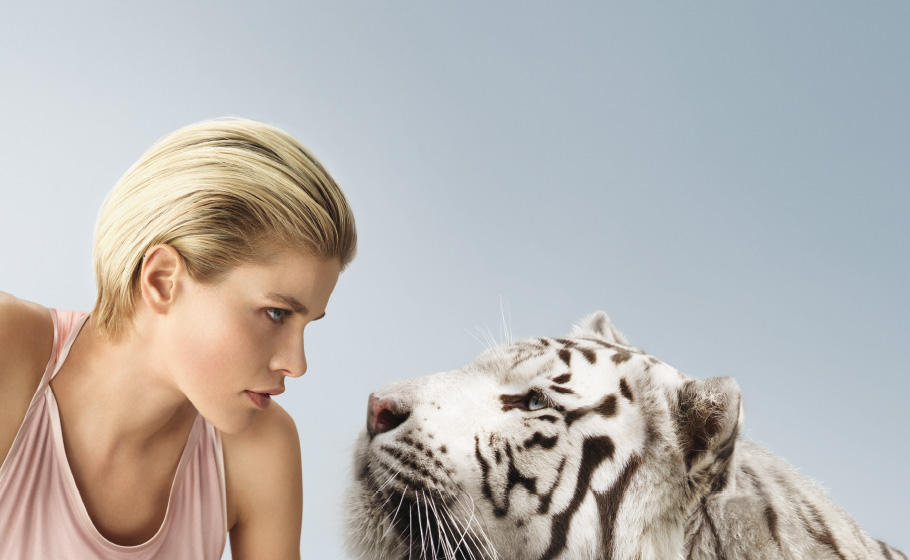 koeppel_NEUSagenSie_titel2_910x560